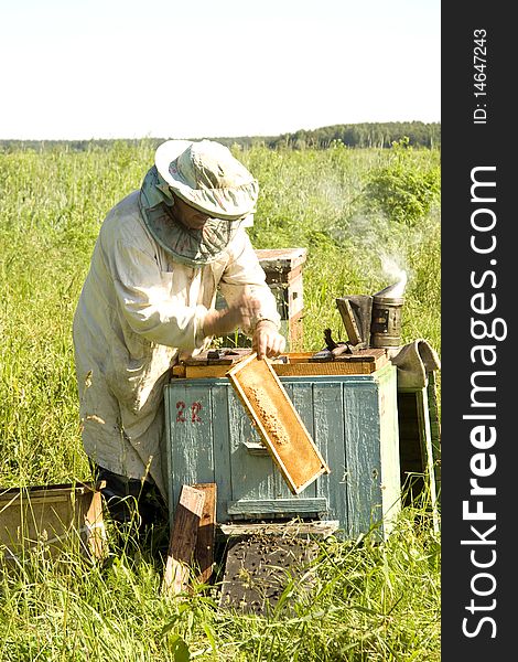 The beekeeper gets frameworks from beehives in the field near wood. The beekeeper gets frameworks from beehives in the field near wood