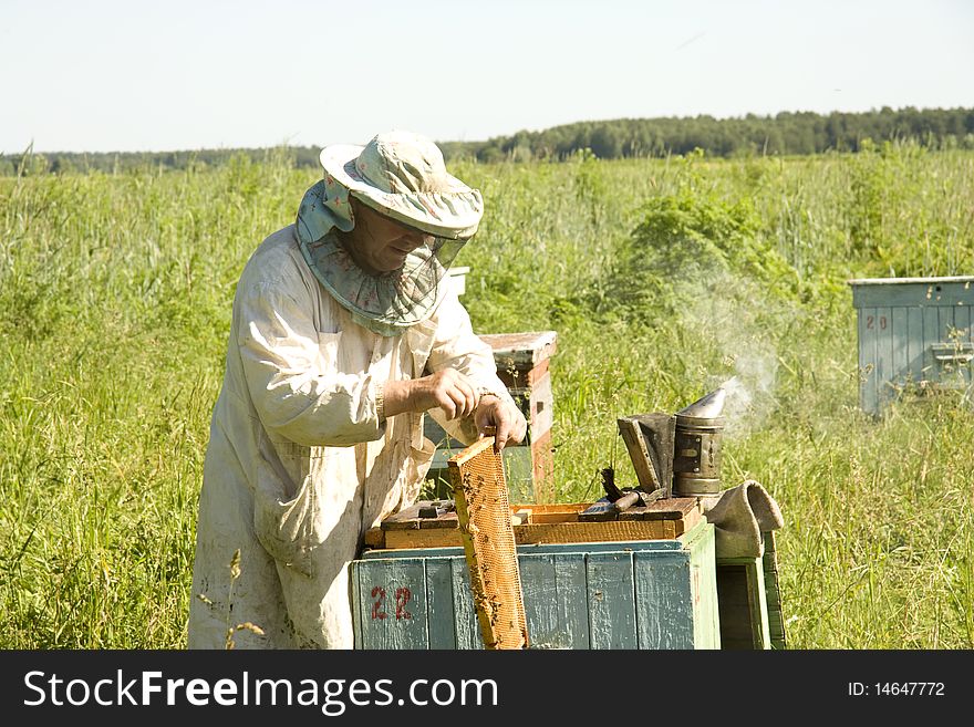 The beekeeper gets frameworks from beehives in the field near wood. The beekeeper gets frameworks from beehives in the field near wood