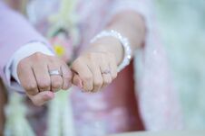 Groom And Brides Hands With Rings,Rings Of Husband And Wife.Two Hands On A Wedding Day Royalty Free Stock Images Groom And Brides Hands With Rings,Rings Of Husband And Wife.Two Hands On A Wedding Day Royalty Free Stock Images