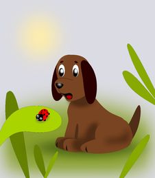 Puppy And Ladybug Stock Photo Puppy And Ladybug Stock Photo