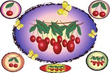 Oval With Cherry Stock Image Oval With Cherry Stock Image