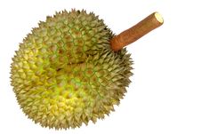 Durian, King Of Tropical Fruit Stock Image Durian, King Of Tropical Fruit Stock Image