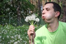 Man Blows On A Dandelion Royalty Free Stock Photo Man Blows On A Dandelion Royalty Free Stock Photo