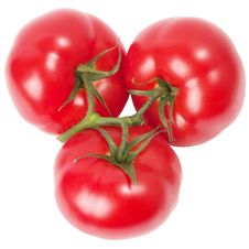 Three Tomatoes Stock Image