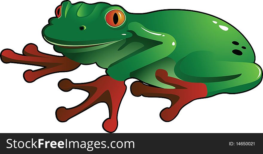 Hand drawn, cartoon style tree frog. Good to throw in with other animals. Hand drawn, cartoon style tree frog. Good to throw in with other animals.