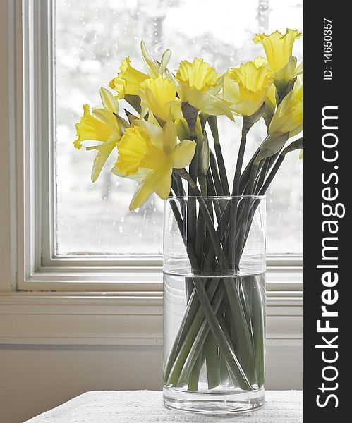 Daffodils bouquet in front of a window