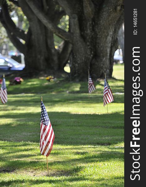 Flowers and flags at a Memorial Day Celebration