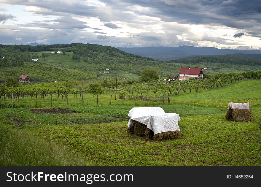 Rural view, rural scene, photo taken in Maramures Romania