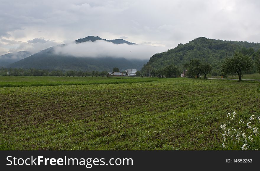 Foggy morning, rural scene, photo taken in Maramures Romania