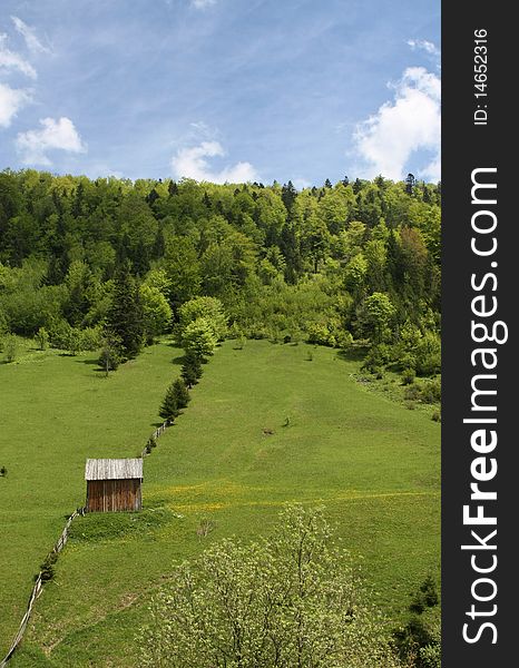 Rural view, rural scene, photo taken in Maramures Romania