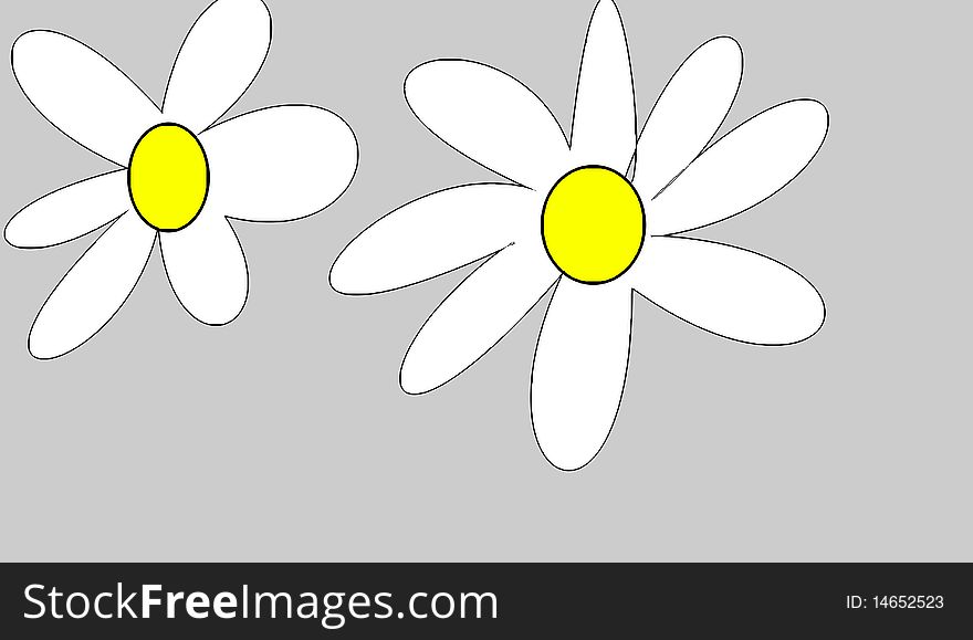The two flowers on grey background