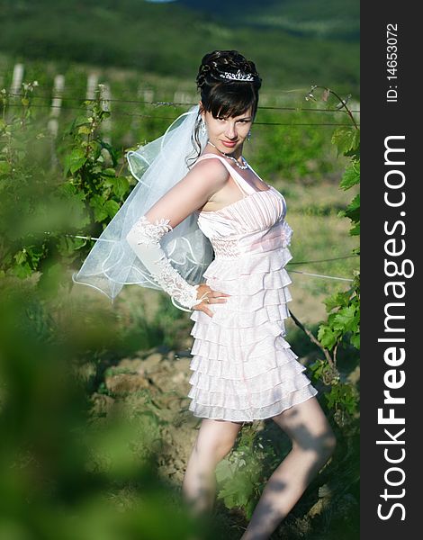 Portrait of beautiful young bride in vineyard.