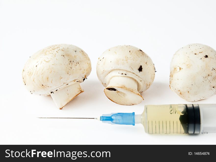Portabello Mushrooms and syringe over white