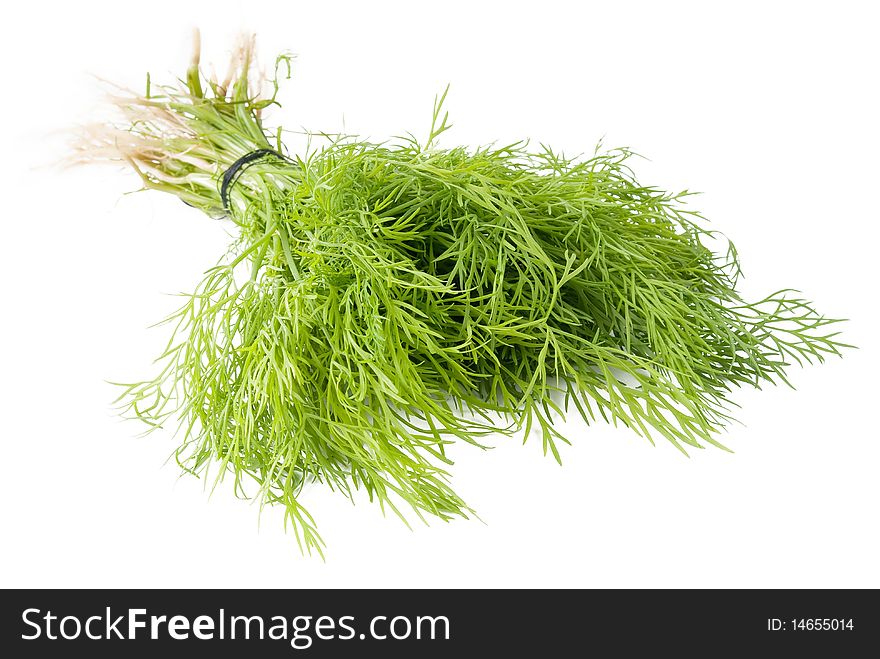 Green dill over white background