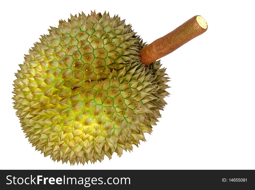 Tropical fruit, Durian, on white background. Tropical fruit, Durian, on white background