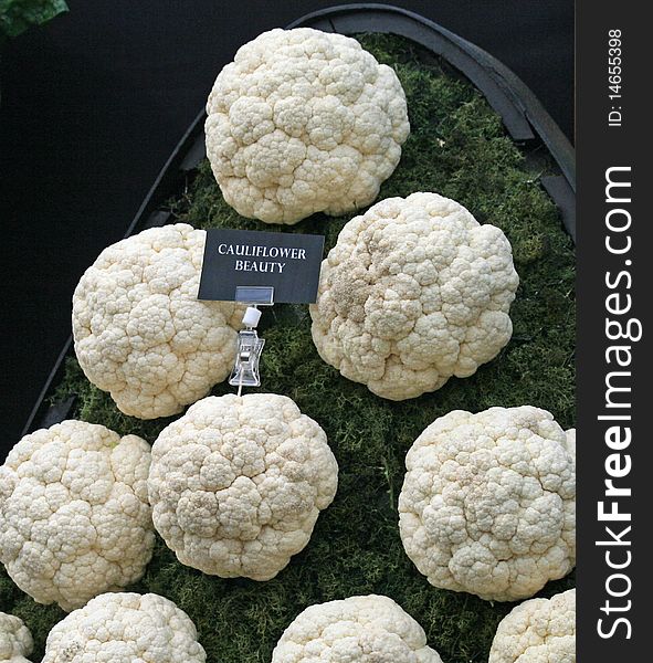 Display of cauliflower beauty variety