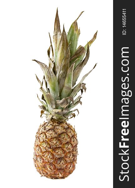 Single Pineapple over white background