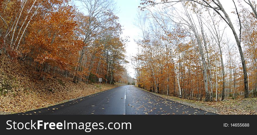 Autumn in Acadia National Park, Bar Harbor, USA