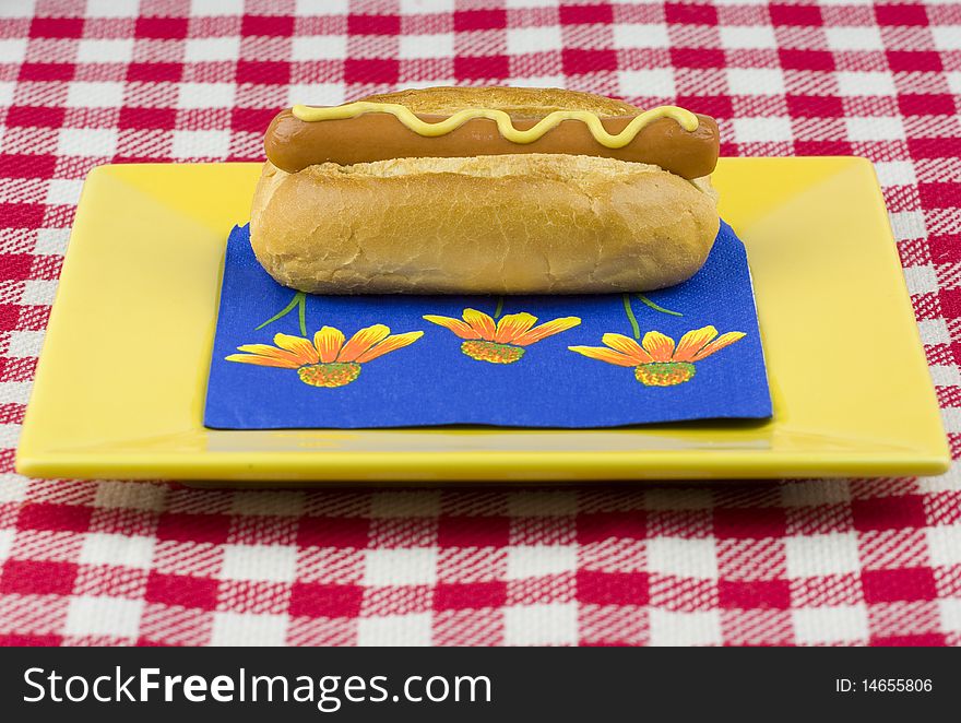 One hot dog with mustard