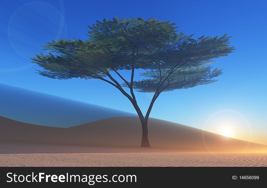 Der Baum in der Wüste