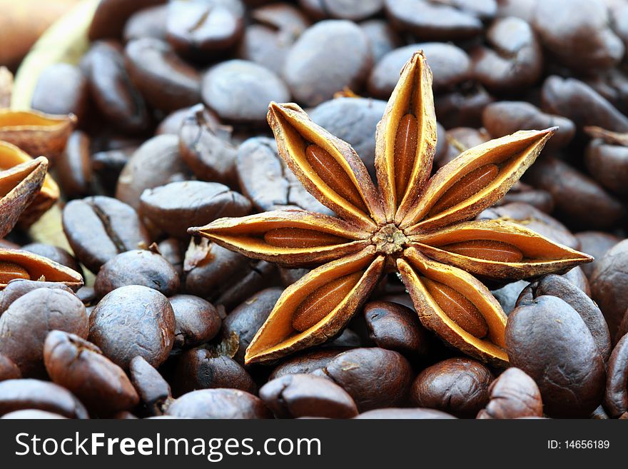 Anise Star and Coffee Beans