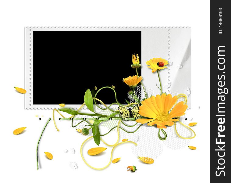 Summer frame with marigold and butterfly on the white background. Summer frame with marigold and butterfly on the white background