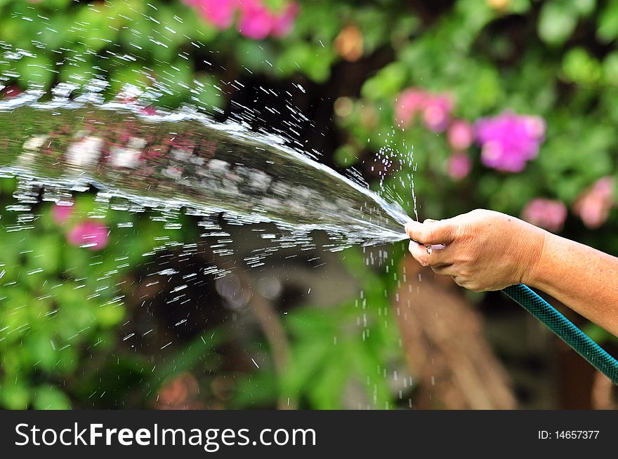 Squirting water in the garden