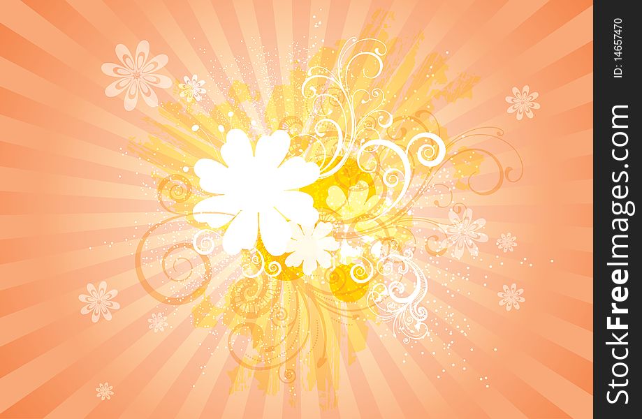 Pastel orange color background design for any occasion. Pastel orange color background design for any occasion