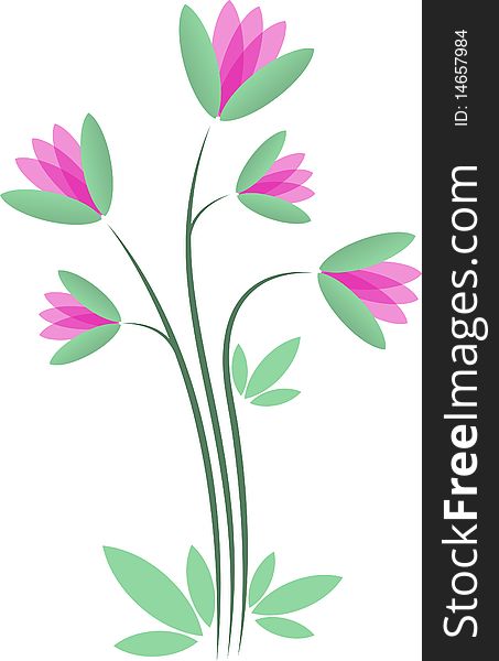 Illustration of small magenta flowers. Illustration of small magenta flowers