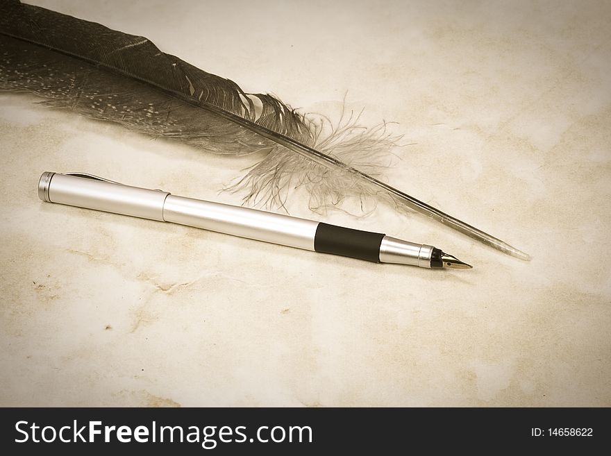 Sepia Image Of Feathers