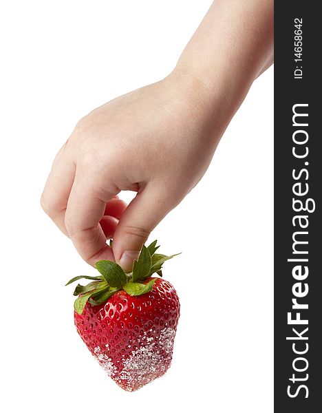 Ripe strawberry in sugar hanging on child's fingers  isolated over white background. Ripe strawberry in sugar hanging on child's fingers  isolated over white background