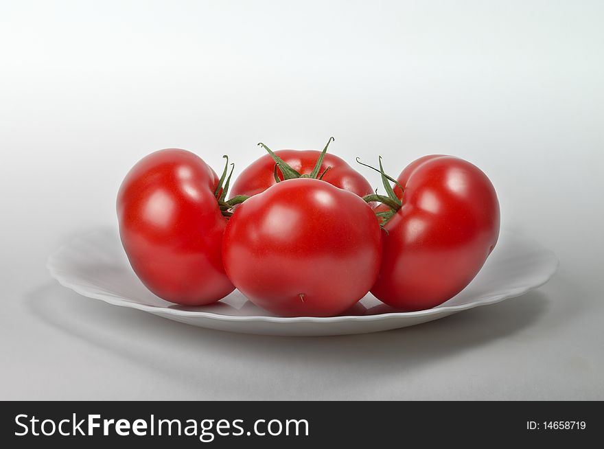 Four tomatoes on the white plate isolated over grey gradient background