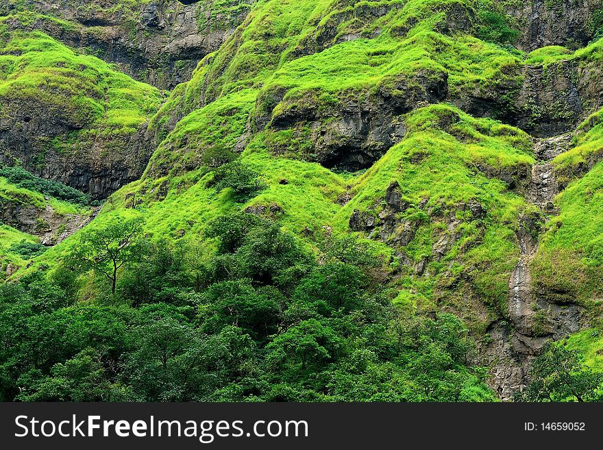 A beautiful green patches during the season of monsoon. A beautiful green patches during the season of monsoon.