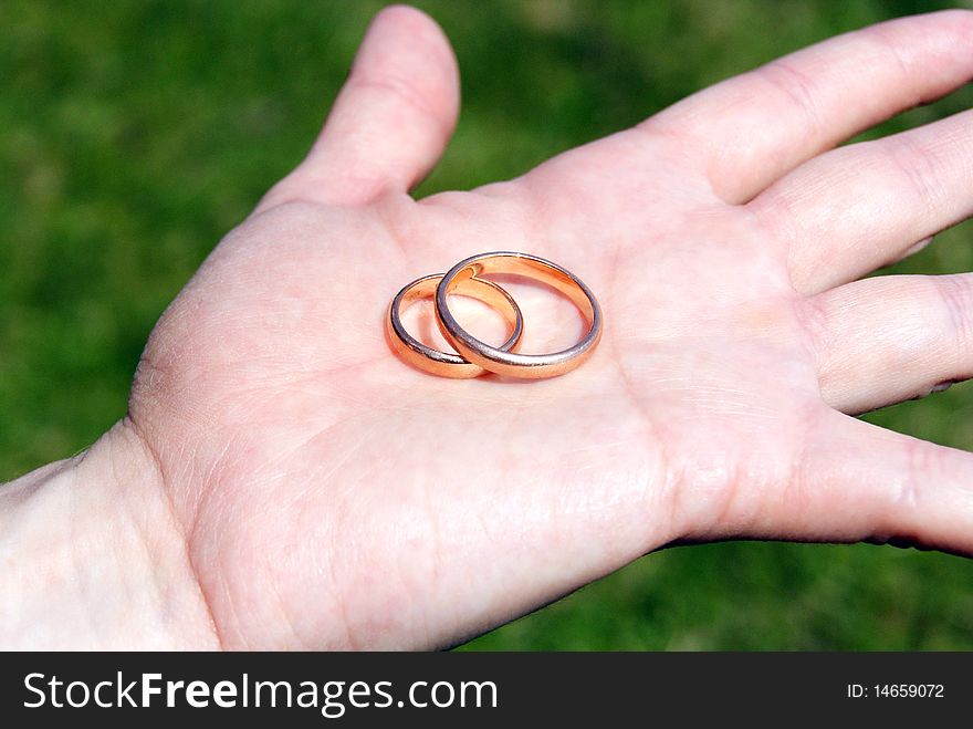 The girl holds two wedding rings in a hand. The girl holds two wedding rings in a hand