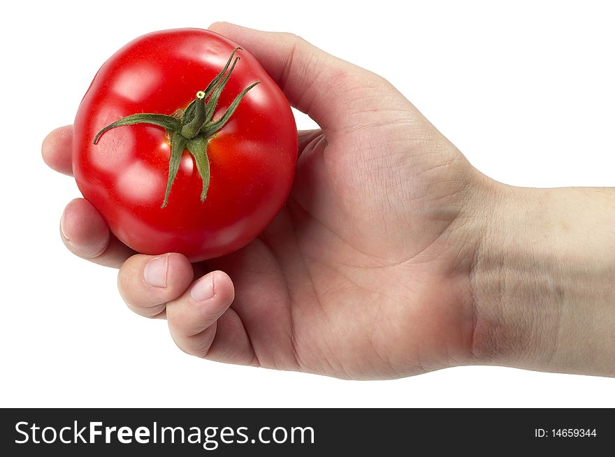 Got Tomato