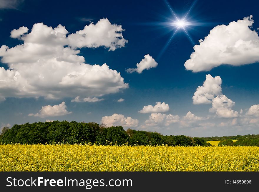 Finest rapefield and cloudscape.