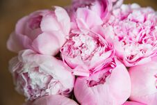 Pink Peonies Blossom Background. Flowers Bouquet Stock Image