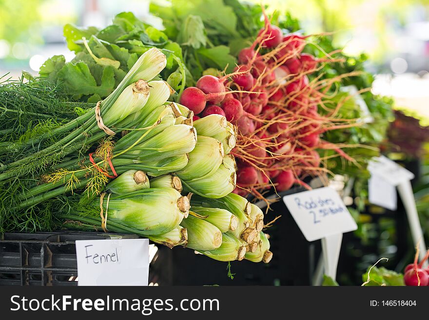 Fresh, raw fennel and radishes for sale at a local farmers market. Fresh, raw fennel and radishes for sale at a local farmers market