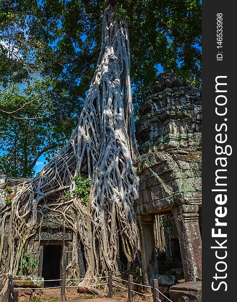 A Landscape Of Ta Phrom Temple In Siem Reap, Cambodia.