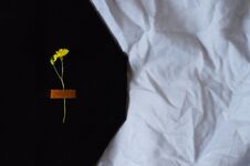 Background With A Yellow Flower In A Black Suede Cover Royalty Free Stock Images