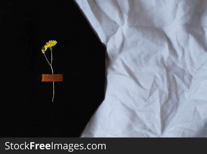 Background with a yellow flower in a black suede cover