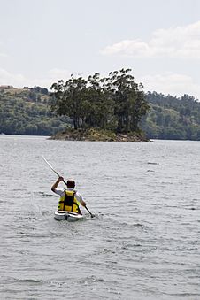Middle Age Man Kayaking Royalty Free Stock Photo