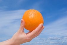 Hand With An Orange Stock Photography