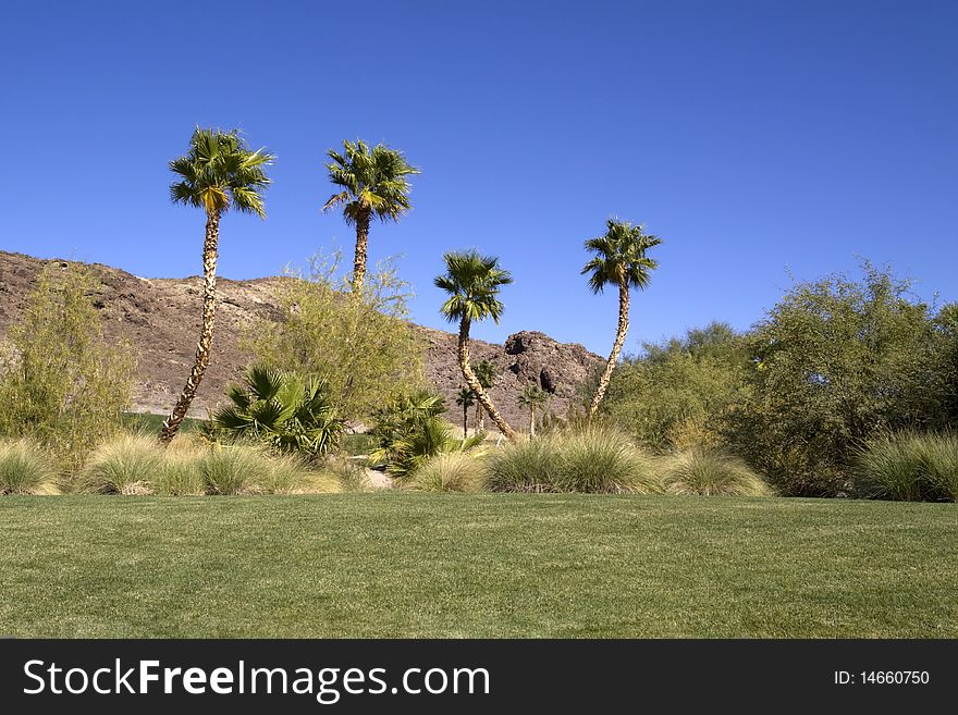 Beautiful golf course on a sunny day