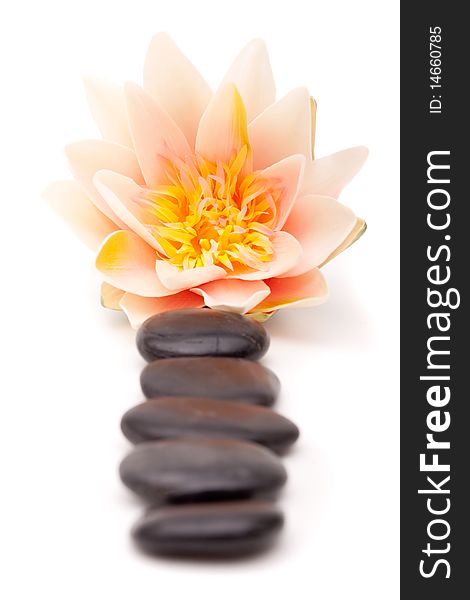 Stack of lastone therapy rocks and waterlilly on white background