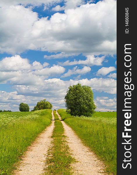 Road Through The Meadow