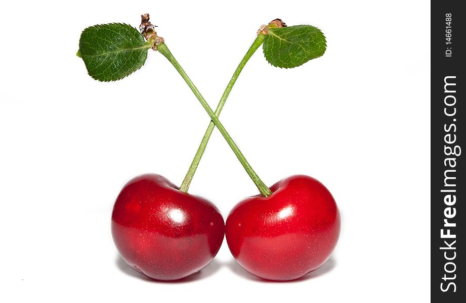 Cherries And Leaves
