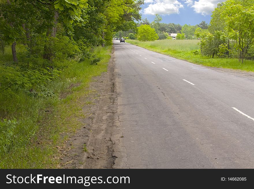 Asphalt road in forrest, in spring scenerry