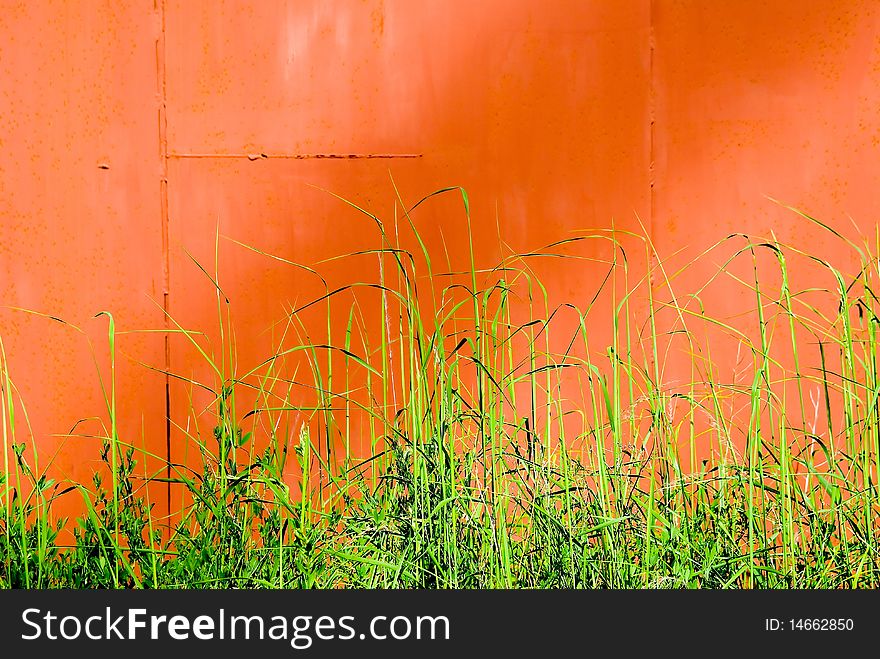 Red metal background and green grass. Red metal background and green grass