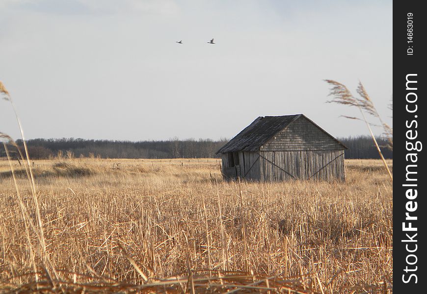 Old building found while out for a drive. Old building found while out for a drive